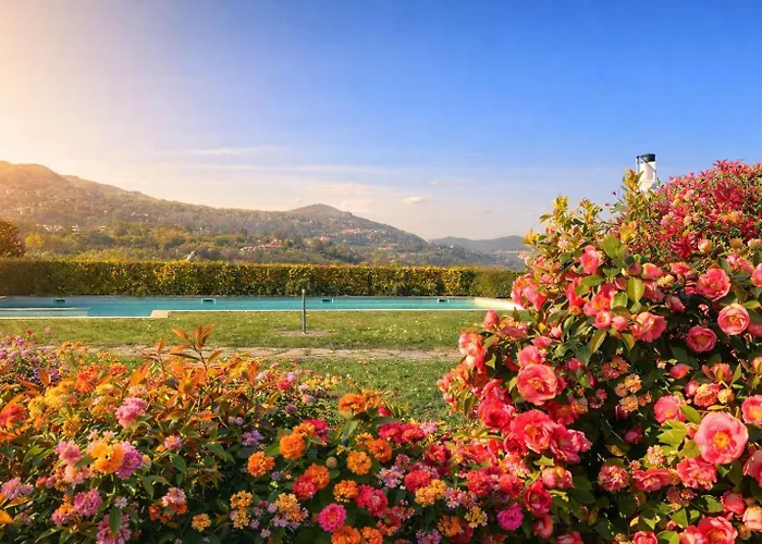 Acqua & Luce * Meina